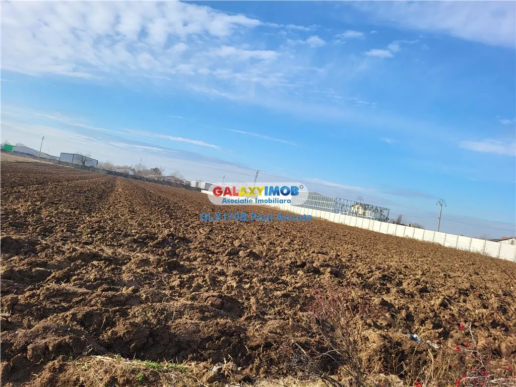 Teren Moara Vlasiei 18000 mp cu utilitati zona mixta acces rapid A3 - foto 1