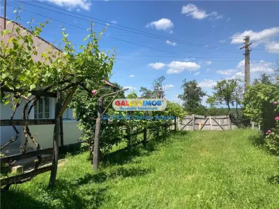 Raahitele de Jos,Arges,2 case 100 mp, teren 2000 mp, - foto 24