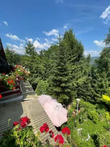 Casa de vacanta | Teren 3155 mp | Breaza - Comarnic | Gura Beliei - foto 4