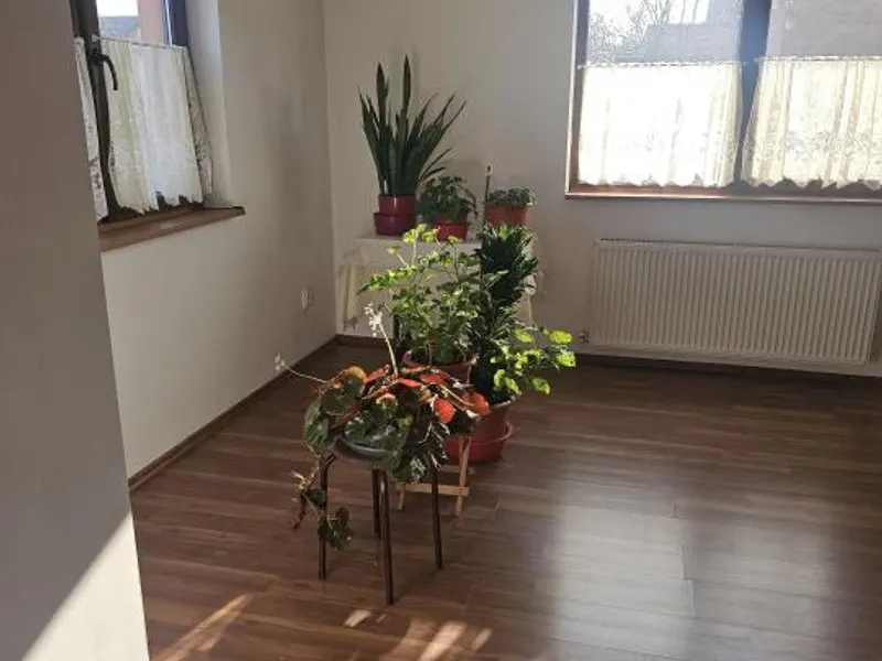 Vila deosebita Comuna Berceni - foto 4