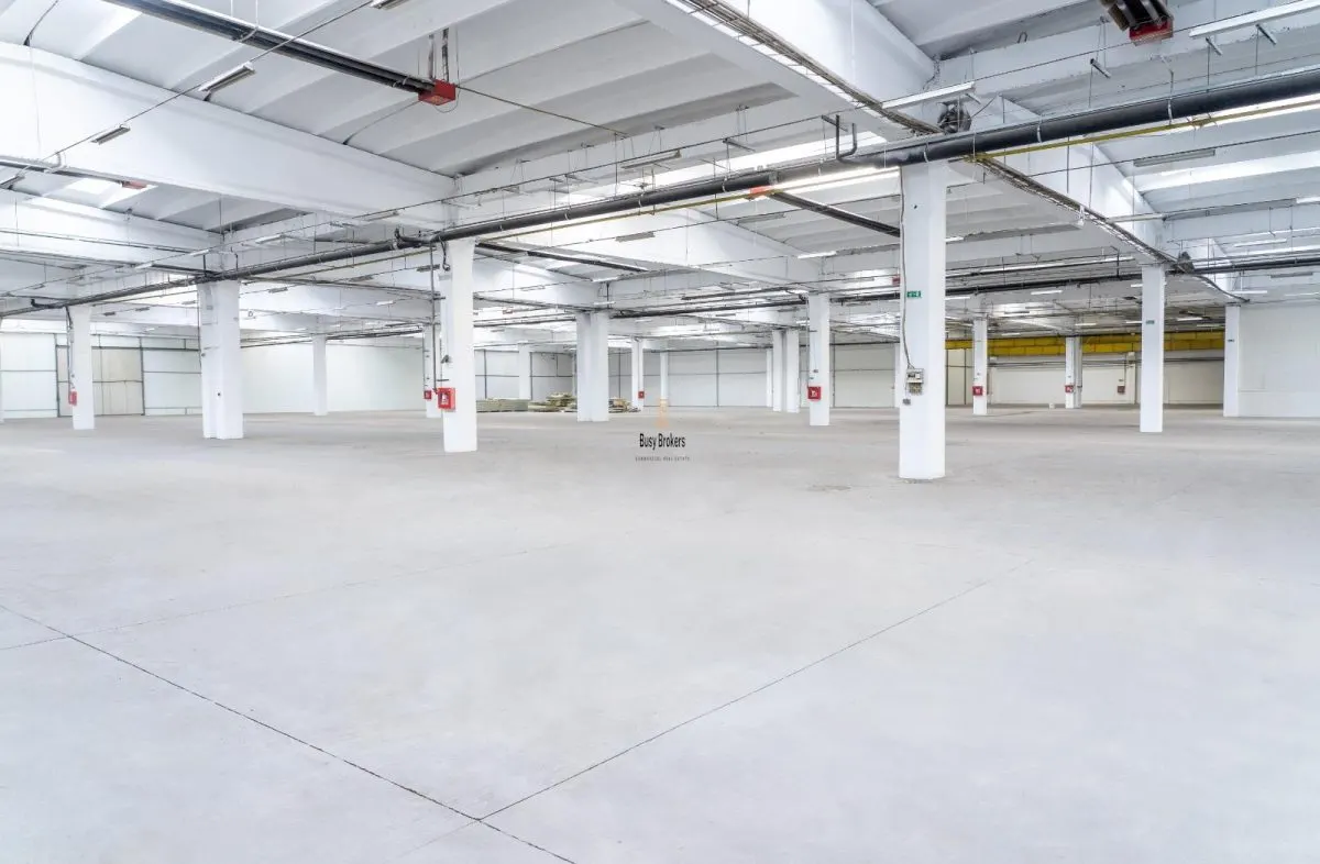 Spatiu Industrial - 2500 mp - Productie - Depozitare - Distributie - foto 4