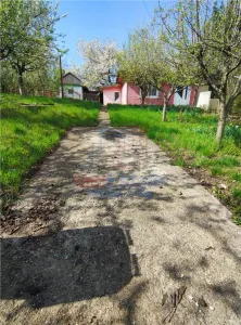 Teren Bucium - Trecatoarea Paun - Iasi