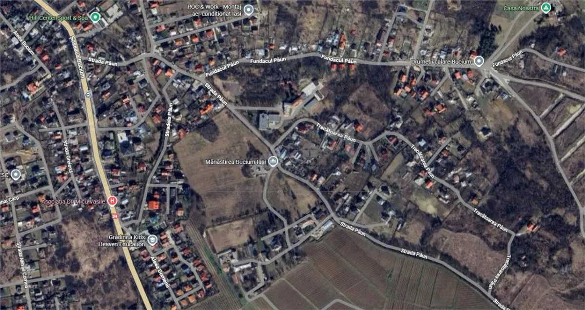 Teren Bucium - Trecatoarea Paun - foto 3