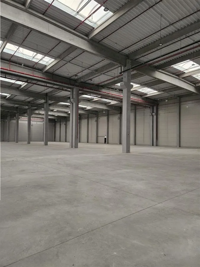 Spatii Industriale - 5000 mp - Logistica - Productie - Depozitare - foto 11