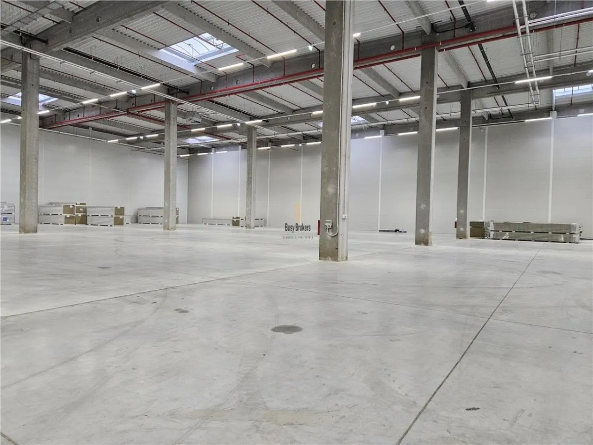 Spatiu Industrial - 4000 mp - Logistica - Productie - Depozitare - Distributie - foto 6