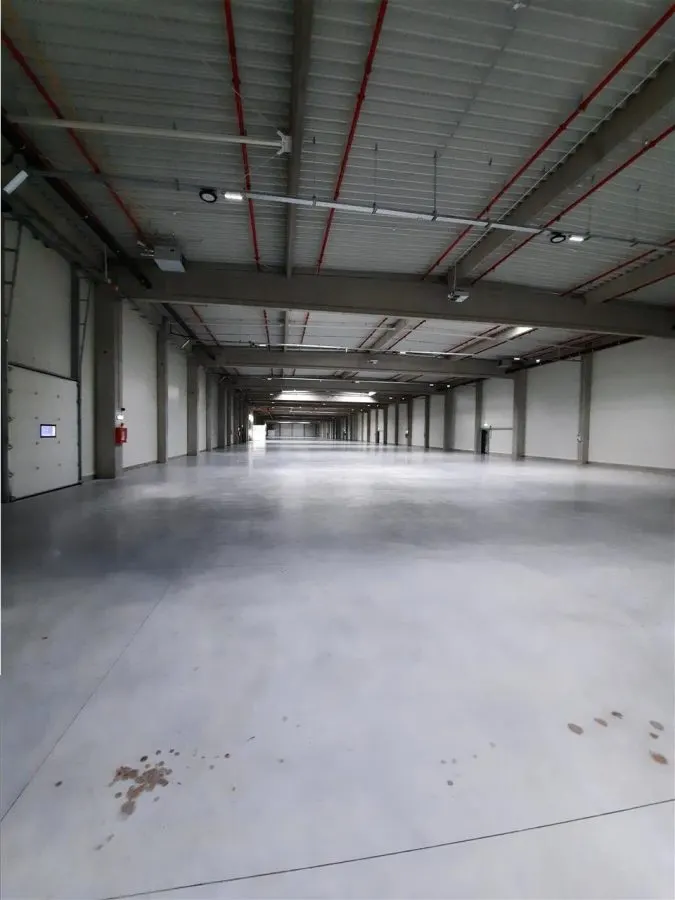 Spatiu Industrial - 4500 mp - Logistica - Productie - Depozitare - foto 11