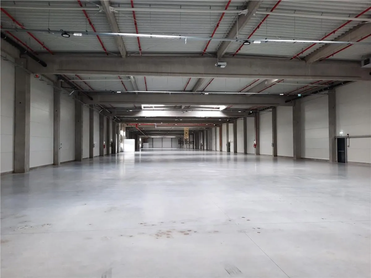 Spatiu Industrial - 4500 mp - Logistica - Productie - Depozitare - foto 18