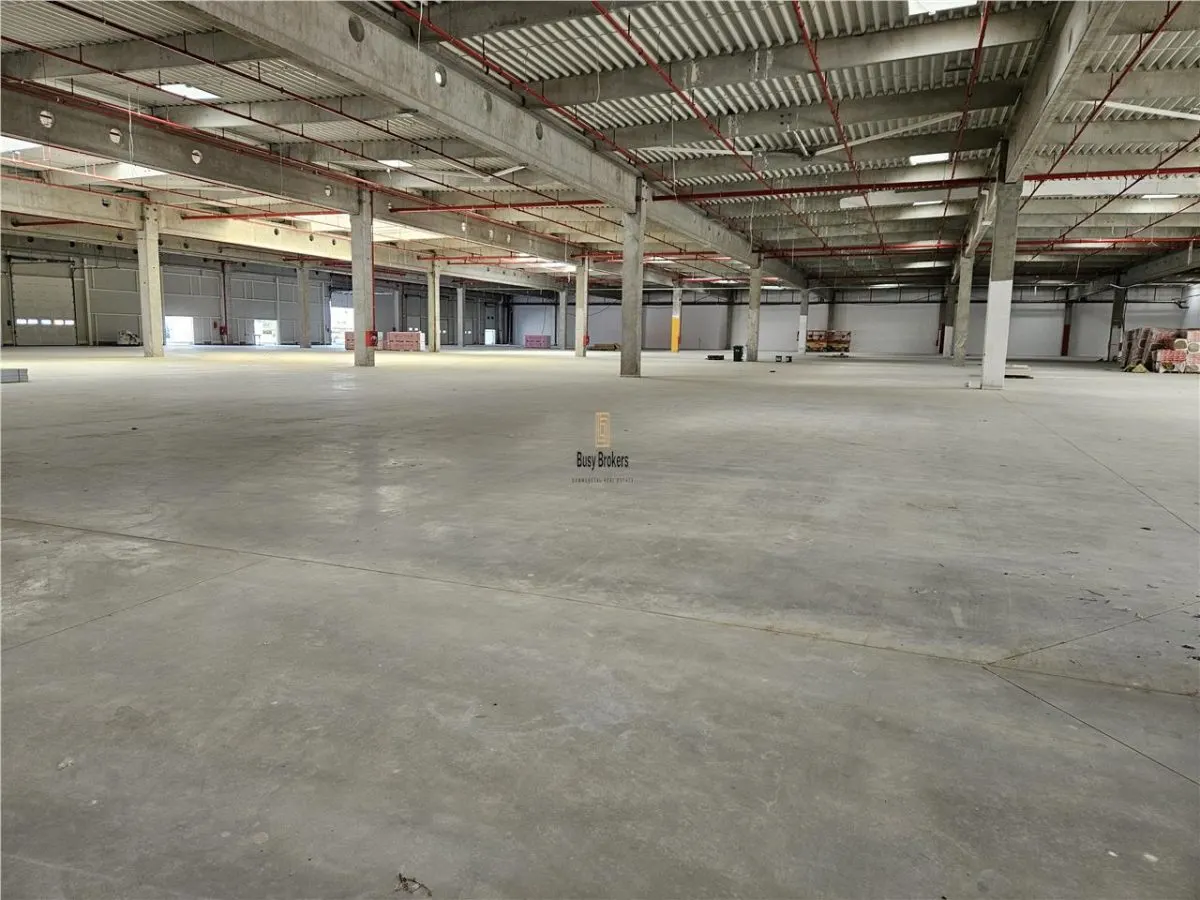 Spatii Industriale - 9000 mp - Productie - Depozitare - Distributie - foto 7