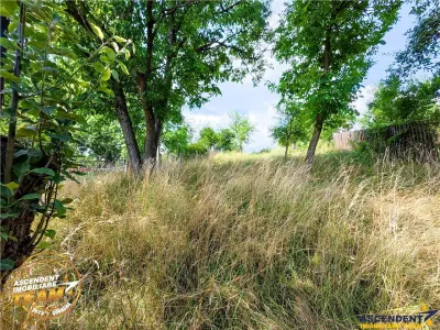 REZERVAT ! Asezare munteneasca: casa din bustean si sura zidita, Arcus, Covasna - foto 10