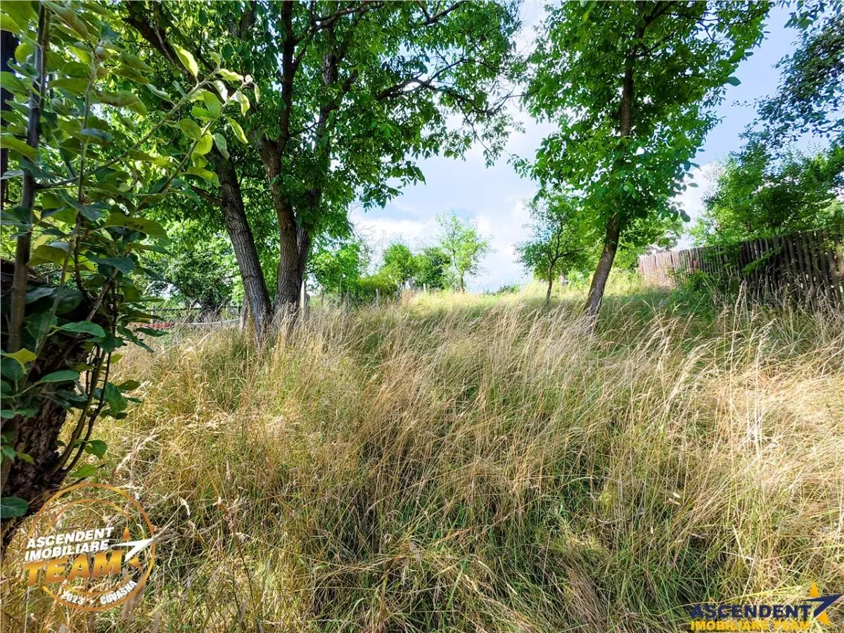 REZERVAT ! Asezare munteneasca: casa din bustean si sura zidita, Arcus, Covasna - foto 10