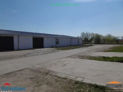 Hale pentru inchiriere aproape de Centura Arad si Autostrada A1 - foto 14