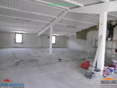 Hale pentru inchiriere aproape de Centura Arad si Autostrada A1 - foto 9