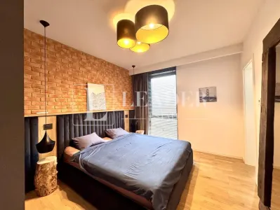 Apartament cu 3 Camere || str. Aurel Vlaicu, zona Dacia || Romana || Ioanid - foto 10