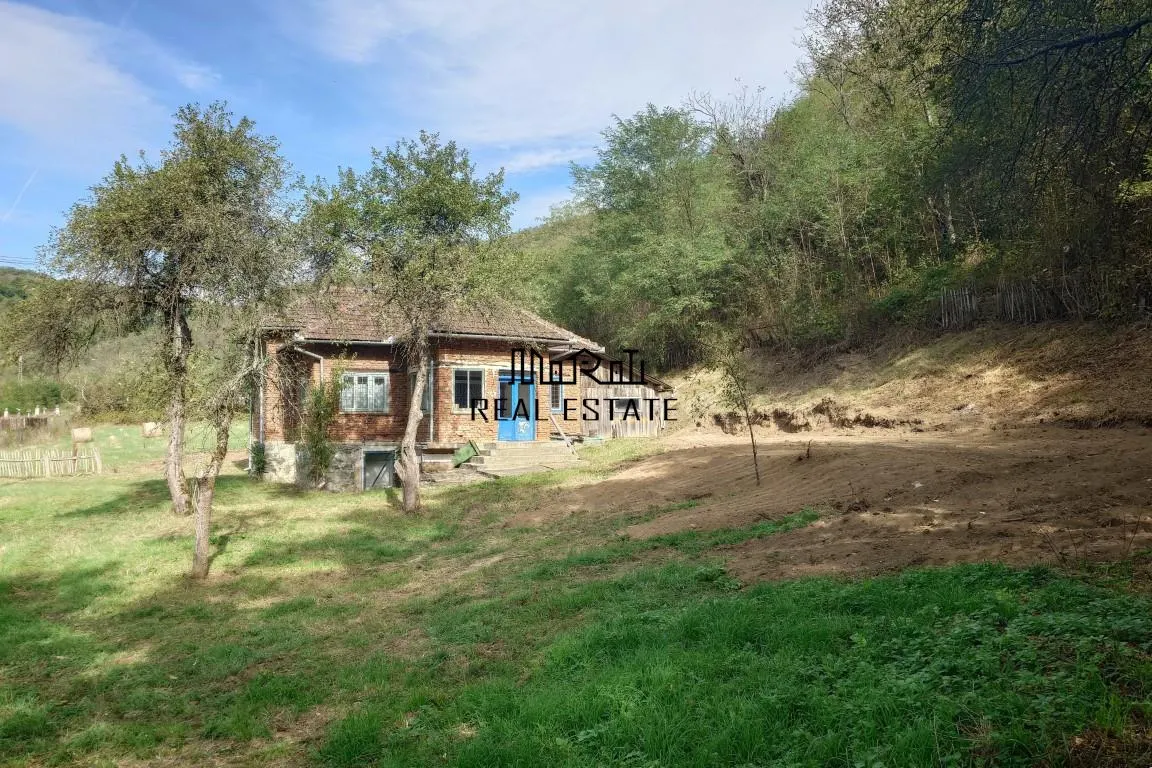 Teren, padure si casa in Dumbrava de Jos, jud. Hunedoara - foto 17