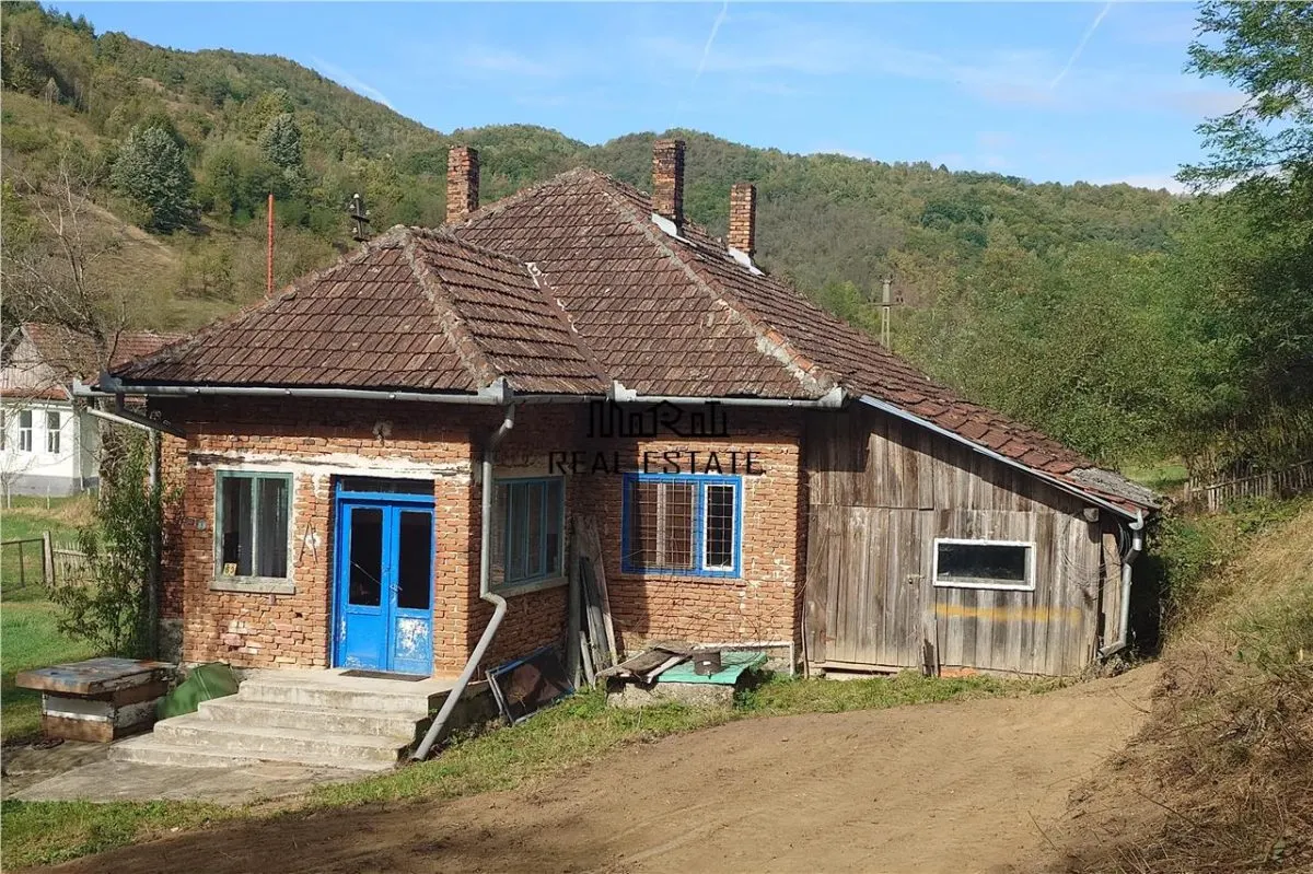 Teren, padure si casa in Dumbrava de Jos, jud. Hunedoara - foto 5