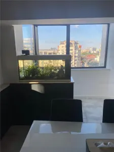 Vanzare Duplex 4 camere superb | Bd Unirii | stradal | vedere integrala la bulevard | 120mp utili | superb renovat | - foto 22