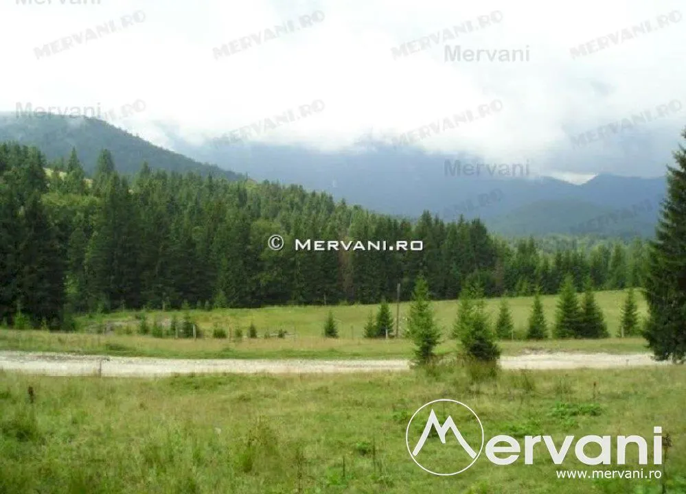 Teren de vanzare in Predeal (zona Forban) - foto 3