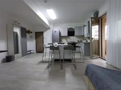 Ap 2 camere modern, prima chirie, parcare și 2 balcoane – Tătărași - foto 2