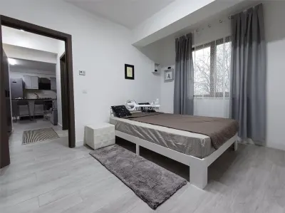 Ap 2 camere modern, prima chirie, parcare și 2 balcoane – Tătărași - foto 11