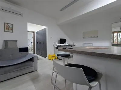 Ap 2 camere modern, prima chirie, parcare și 2 balcoane – Tătărași - foto 6