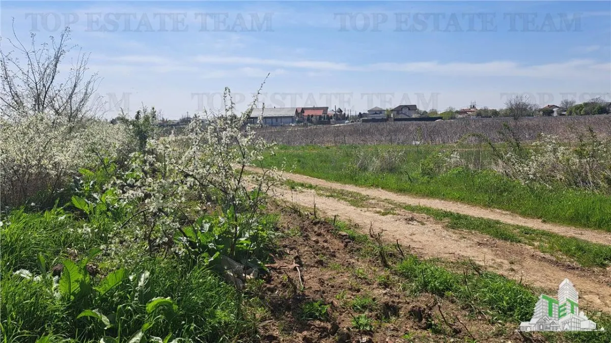 Teren 1171mp la intrare in Palanca langa Raul Sabar - foto 6