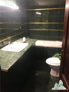 Vila individuala sau restaurant parter - vanzare - Unirii - Budapesta - foto 6