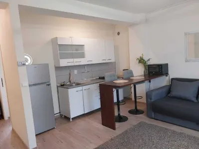 Apartament 2 Camere cu Grădină și Parcare â€“ Podu de Fier - foto 5