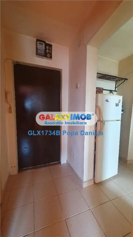 Apartament 2 camere decomandat, N.Racota - Herastrau - foto 13