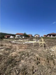 RECO Casa 3 camere lux in Paleu - foto 3