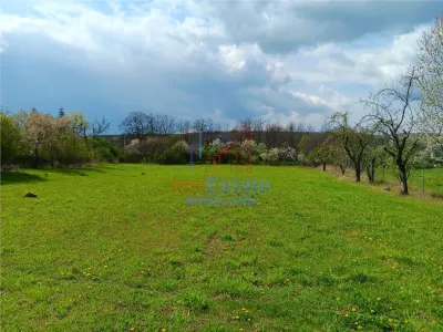 Badeni com Scobinti  Iasi Teren 4239mp  parcelabil si constructii 245mp - foto 5