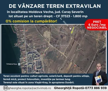 Terenuri Extravilan Moldova Noua â€“ Parcelabile - Moldova Noua