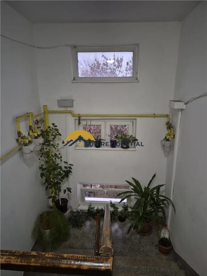 Brancoveanu - apropiere Izvorul Rece - foto 5