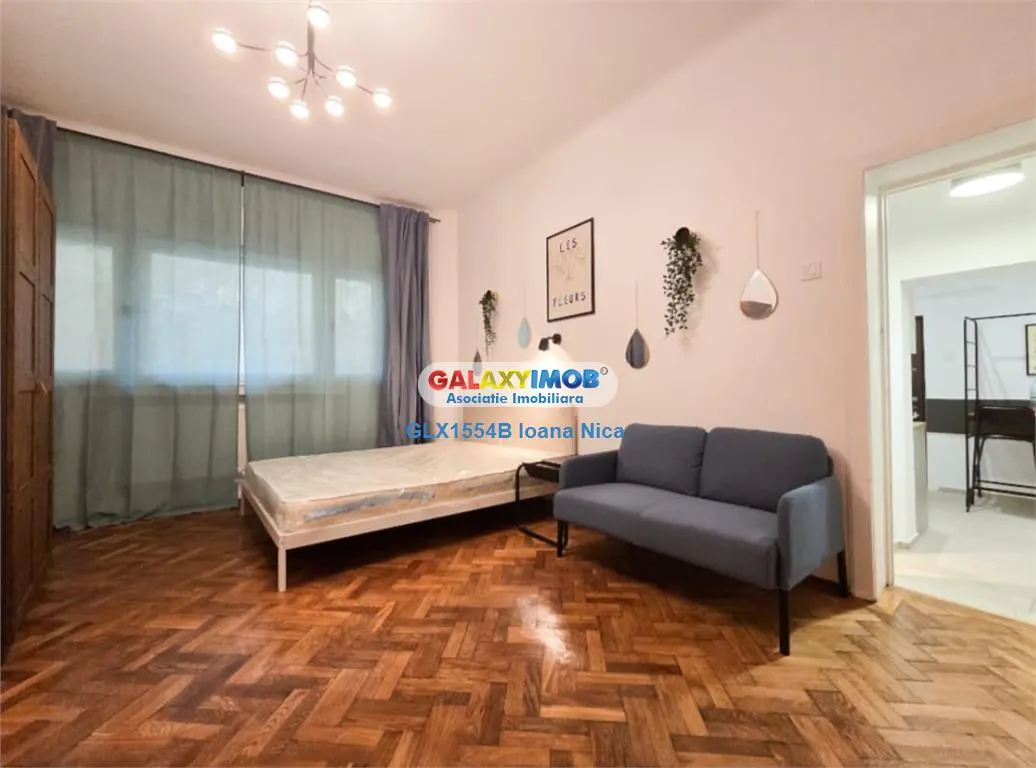 STUDIO DE INCHIRIAT DRISTOR BABA NOVAC - foto 1
