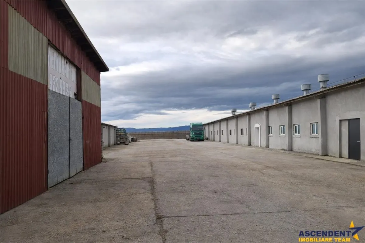 Hala versatila,spatii cazare, platforma betonata,1.150 mp teren,Halchiu,Brasov - foto 12