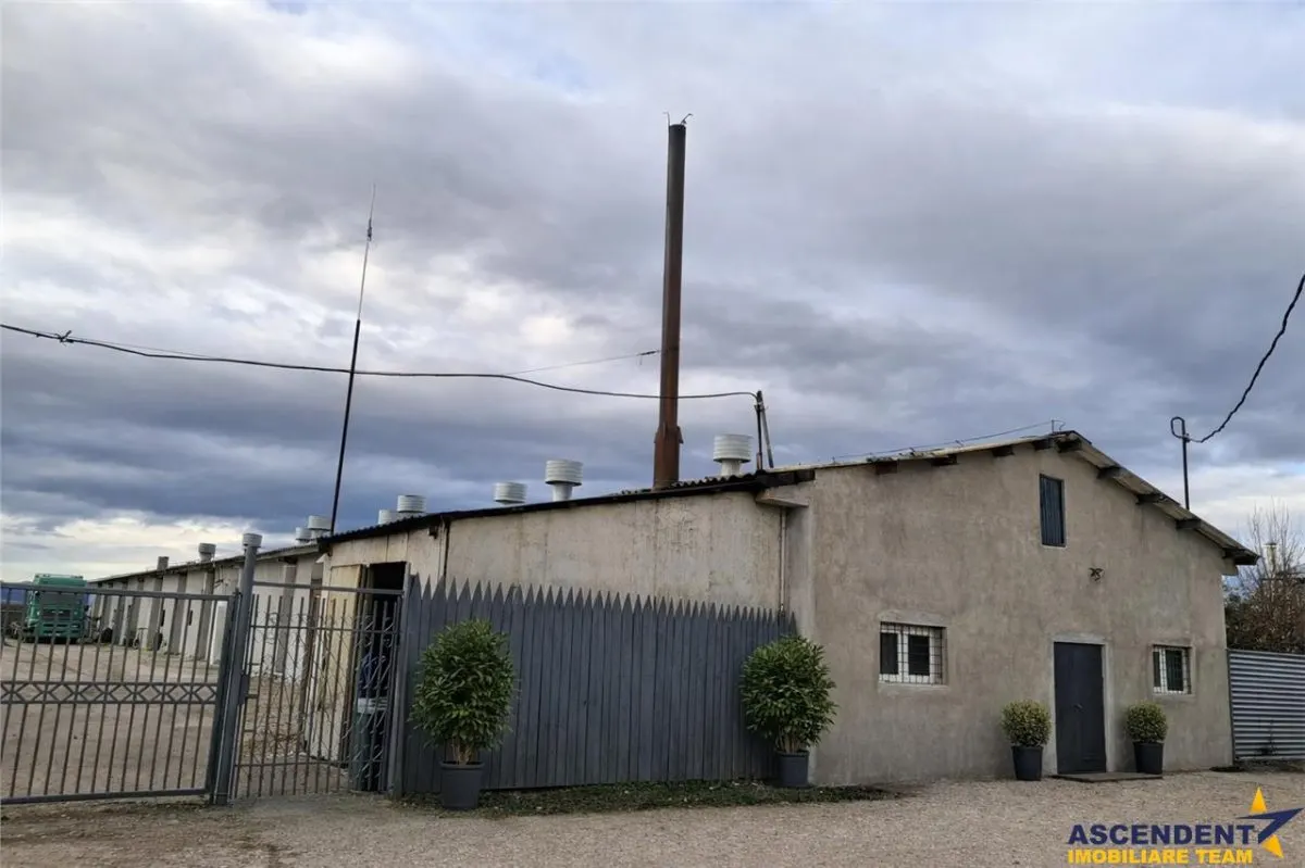 Hala versatila,spatii cazare, platforma betonata,1.150 mp teren,Halchiu,Brasov - foto 13
