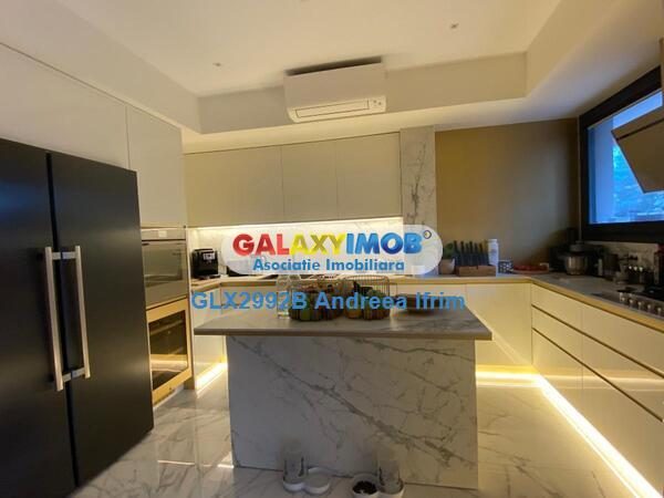 Apartament Luxury cu Gradina Privata - Herastrau/Cartierul Francez - foto 2