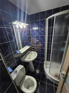 APARTAMENT|3 CAMERE|ION MUNULESCU - foto 10