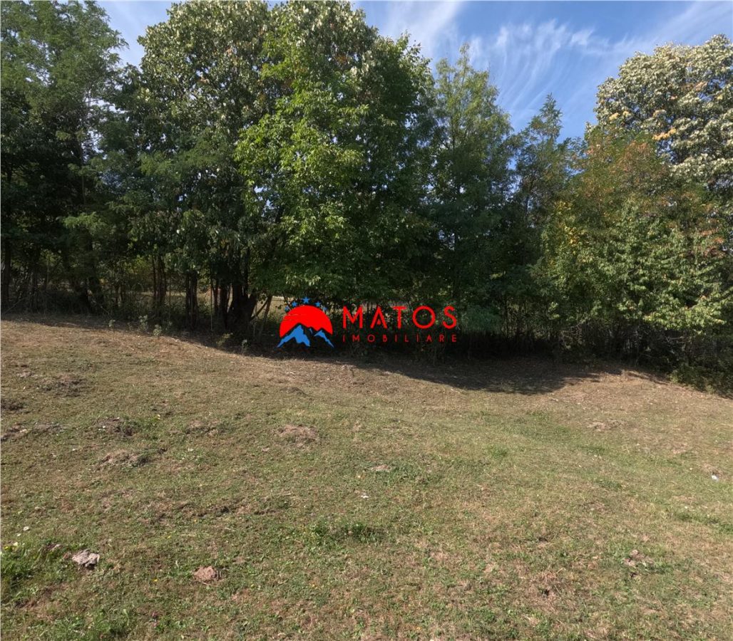 TEREN INTRAVILAN DE VÂNZARE ÎN POIANA CÂMPINA | 3.526 MP | - foto 11