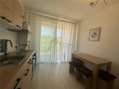 Inchiriere Apartament cu 2 camere Visani - foto 8