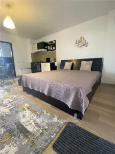 Apartament cu o camera open space  - lângă facultăţi - Tudor V. - 390EUR - Iasi