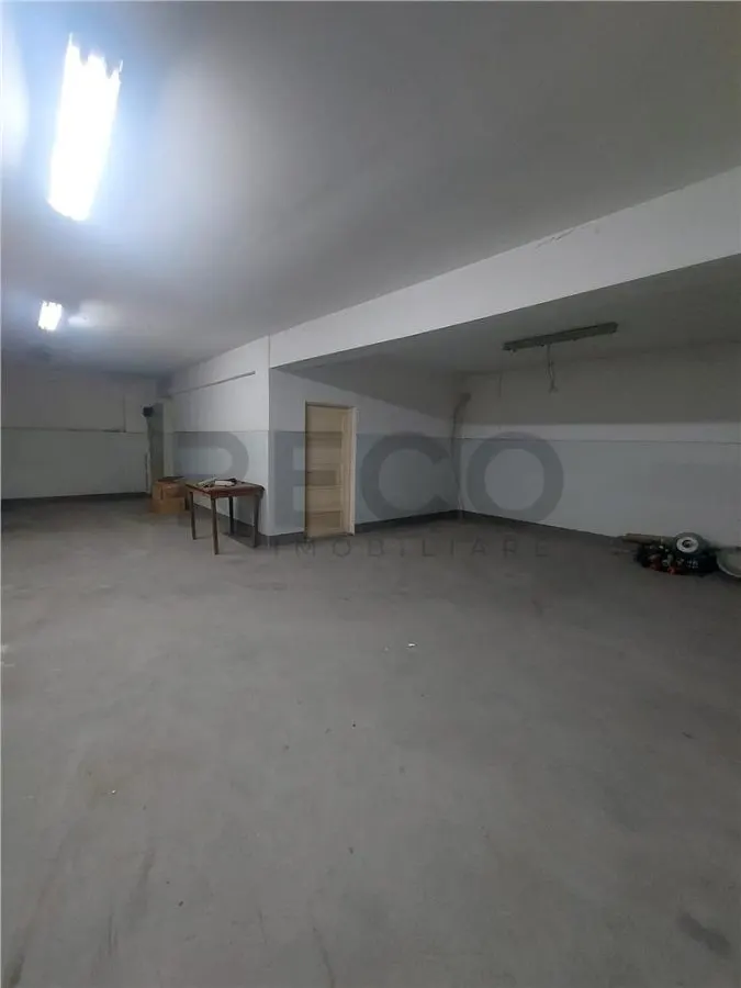 RECO Pensiune / azil cu 2 etaje si hala mare in Ineu de Cris - foto 21