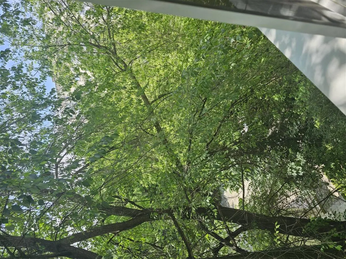 Apartament 2 camere Piata Sudului - foto 4