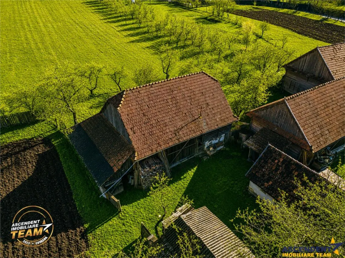 FILM! Casa si anexe, pe domeniu de 6.221mp,  livada pomi fructiferi, Lemnia, Covasna - foto 16
