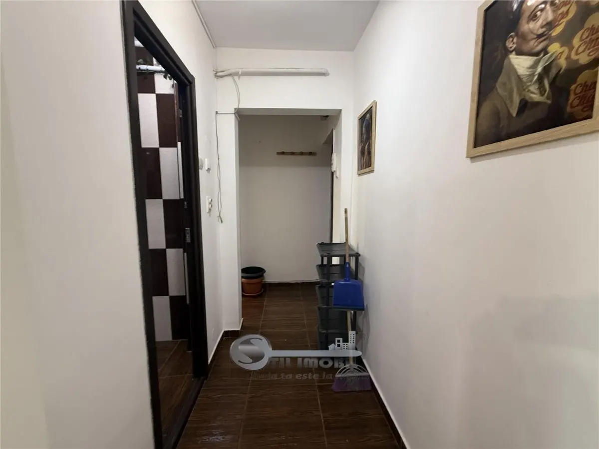 3 CAM ALEXANDRU CEL BUN - foto 15