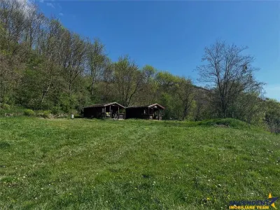 Transilvania Camping, domeniu de 14.400mp,Sanmarghita de Mures:2cladiri, apartamente,potential exceptional - foto 21