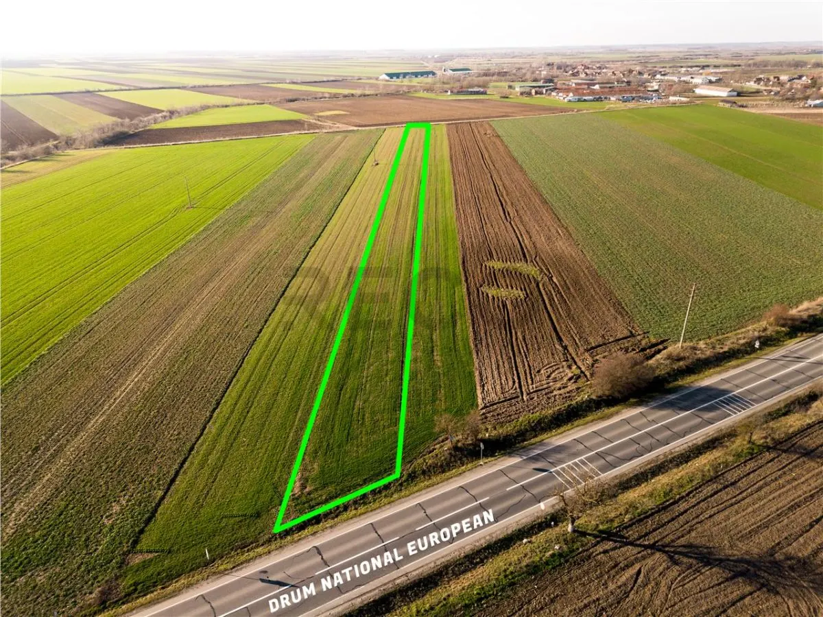 RECO teren 5000mp cu deschidere la DN19 Tamaseu - foto 1