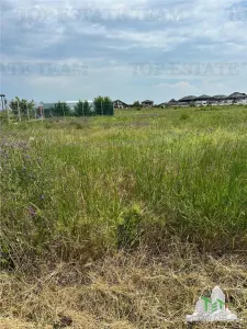 Teren intravilan in Magurele 500 mp - Magurele