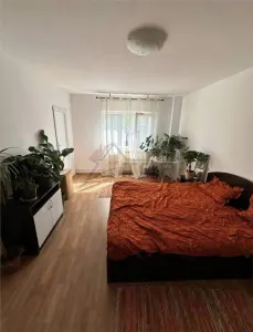 Apartament o camera decomandat, etajul 1 - Nicolina - foto 2