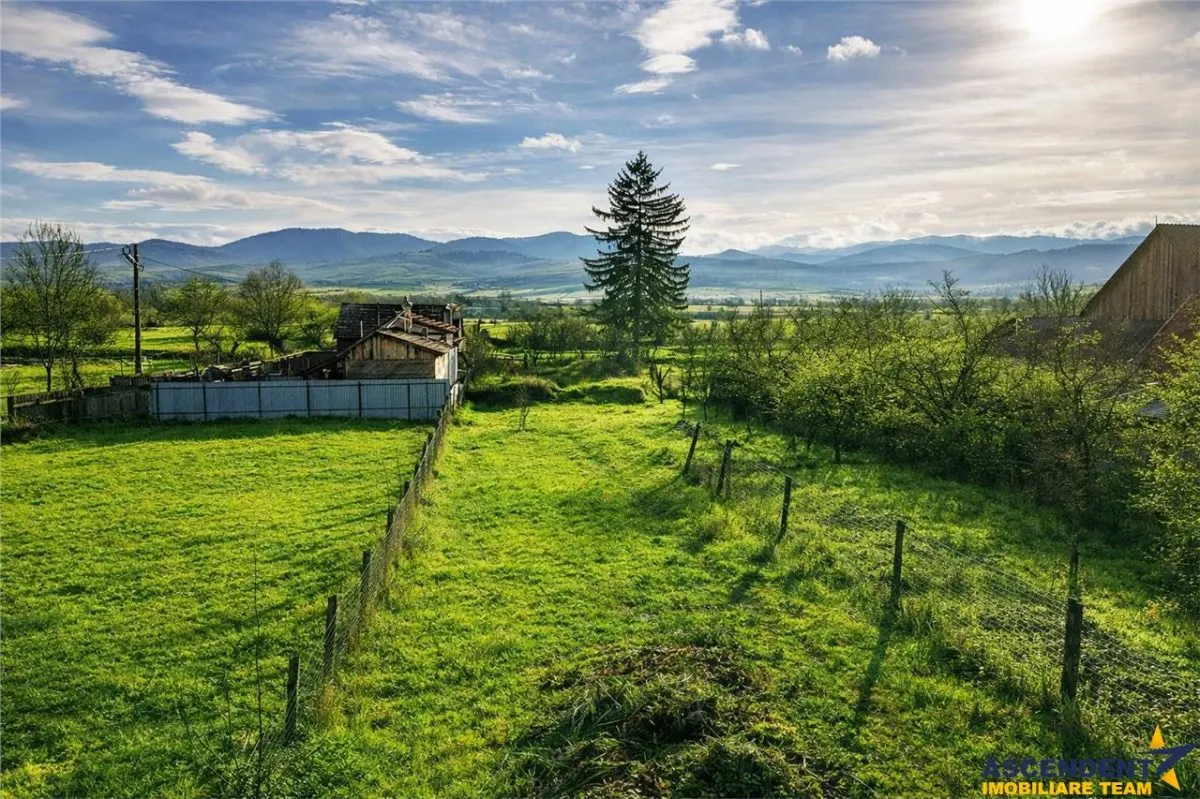 FILM! Casa cu sura, pivnita, balta cu pesti, 2.280 mp teren roditor, Lemnia, Covasna - foto 5