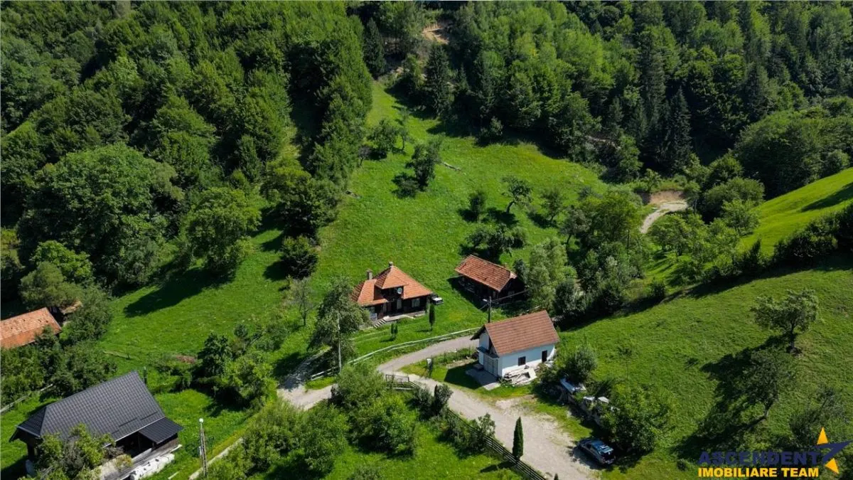 FILM! Proprietate autentica, Bran-Simon, 4.300 mp teren, casa traditionala + anexe - foto 14